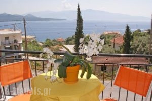 Fanias Rooms_best prices_in_Room_Ionian Islands_Lefkada_Lefkada Chora