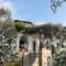 Diaporos View House_best prices_in_Hotel_Macedonia_Halkidiki_Chalkidiki Area
