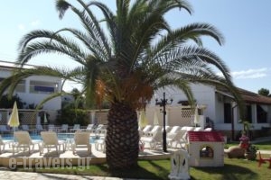 Konstantina Apartments_best deals_Apartment_Ionian Islands_Corfu_Lefkimi