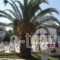 Konstantina Apartments_best deals_Apartment_Ionian Islands_Corfu_Lefkimi
