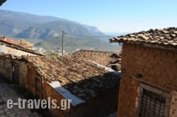 Omoplinthos_s __1