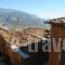 Omoplinthos_accommodation_in_Hotel_Central Greece_Fokida_Galaxidi