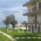 Georgia Apartments_lowest prices_in_Apartment_Ionian Islands_Zakinthos_Zakinthos Rest Areas