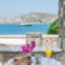 Margarita's House_lowest prices_in_Hotel_Cyclades Islands_Paros_Piso Livadi