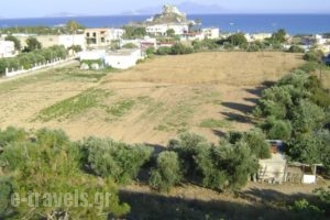 Panormitis  Studios_holidays_in_Hotel_Dodekanessos Islands_Kos_Kos Rest Areas