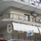 Villa Nikolas_accommodation_in_Villa_Macedonia_Pieria_Paralia Katerinis