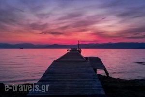 Quayside Village Hotel_best deals_Hotel_Ionian Islands_Corfu_Lefkimi