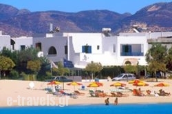 Naxoslosseo_s __1