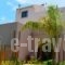 Villa Anastasia_best prices_in_Villa_Crete_Chania_Tavronit's