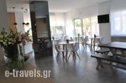 Theofilos Hotel_s __3