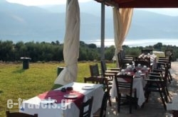 Villa Forestata_s __1