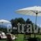 Villa Forestata_travel_packages_in_Ionian Islands_Kefalonia_Kefalonia'st Areas
