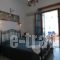 Studios Bourgos I_accommodation_in_Hotel_Cyclades Islands_Naxos_Naxos Chora