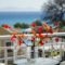 Filmar Hotel_travel_packages_in_Dodekanessos Islands_Rhodes_Ialysos