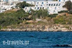 Hippocampus Hotel_s __1