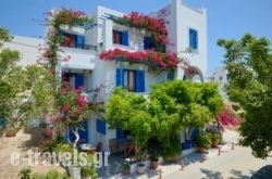 Rena Valetta Studios in Naxos Chora, Naxos, Cyclades Islands