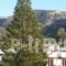 Apartments Xenophon_best deals_Apartment_Crete_Heraklion_Matala