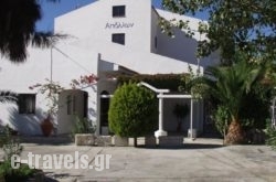 Apollon Resort_s __1