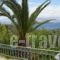 Villa Anastasia_lowest prices_in_Villa_Ionian Islands_Corfu_Corfu Rest Areas