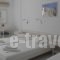 Nicolas Studios_accommodation_in_Hotel_Cyclades Islands_Antiparos_Antiparos Chora