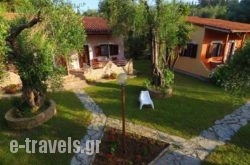 Anneta Studios_s __1