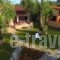 Anneta Studios_accommodation_in_Hotel_Ionian Islands_Lefkada_Sivota