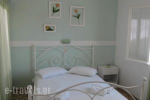 Icarus Rooms_best prices_in_Room_Cyclades Islands_Paros_Paros Chora