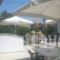 Studios Pansion Stella_holidays_in_Hotel_Macedonia_Thessaloniki_Thessaloniki City