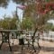 Galini Studios_lowest prices_in_Hotel_Cyclades Islands_Naxos_Mikri Vigla