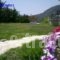 Sunny Sea Apartments_accommodation_in_Apartment_Epirus_Preveza_Parga
