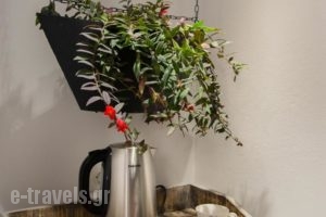 Lindos Allure Villa_best prices_in_Villa_Dodekanessos Islands_Rhodes_Pefki