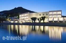 Patmos Aktis Suites & Spa_s __1