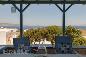 Ergina Summer Resort_accommodation_in_Hotel_Cyclades Islands_Antiparos_Antiparos Chora