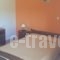 Sea Breeze Apartments_holidays_in_Apartment_Ionian Islands_Kefalonia_Kefalonia'st Areas