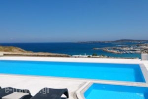 Villa Irine_accommodation_in_Villa_Cyclades Islands_Paros_Piso Livadi