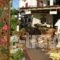Pension Philoxenia_accommodation_in_Hotel_Cyclades Islands_Naxos_Naxos chora