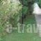 Villa Avra_best prices_in_Villa_Ionian Islands_Corfu_Corfu Rest Areas
