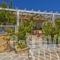 Villa Ntora_best deals_Villa_Dodekanessos Islands_Karpathos_Karpathos Chora