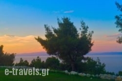 Anatoli_s __1