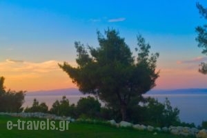 Anatoli_accommodation_in_Hotel_Macedonia_Halkidiki_Kassandreia