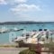 Rozos Hotel_holidays_in_Hotel_Piraeus islands - Trizonia_Spetses_Spetses Chora