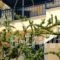 Angelica Villas Hotel Apartments_travel_packages_in_Peloponesse_Argolida_Archea (Palea) Epidavros