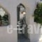 Odysseas Rooms & Studios_best deals_Room_Cyclades Islands_Paros_Paros Chora