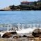 Faros View_accommodation_in_Hotel_Aegean Islands_Thassos_Thassos Chora