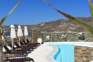 Ftelia Bay_lowest prices_in_Hotel_Cyclades Islands_Mykonos_Mykonos ora