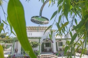 Votana Studios_lowest prices_in_Hotel_Cyclades Islands_Paros_Alyki
