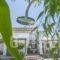 Votana Studios_lowest prices_in_Hotel_Cyclades Islands_Paros_Alyki