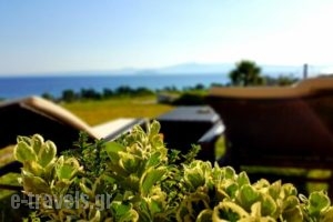 Bungalow White Luxury Apartments_holidays_in_Apartment_Macedonia_Halkidiki_Haniotis - Chaniotis