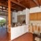 Castello Domus_holidays_in_Hotel_Crete_Rethymnon_Mylopotamos