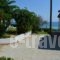 Beach Bungalows_best deals_Hotel_Ionian Islands_Zakinthos_Alykes